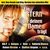 Various Artists: Ein Stern der deinen Namen trägt, CD