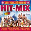Various Artists: Der volkstümliche Hit-Mix Folge 2, CD