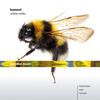 Johann Nepomuk Hummel (1778-1837): Kammermusik "Schöne Minka", CD