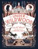Colin Meloy: Wildwood Chronicles 02. Under Wildwood, Buch