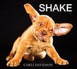 Carli Davidson: Shake, Buch
