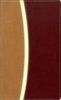Amplified Bible-Am-Compact, Buch