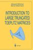 Albrecht Böttcher: Introduction to Large Truncated Toeplitz Matrices, Buch