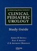 The Kelalis-King-Belman Texbook of Clinical Pediatric Urology, Buch