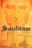 H. Benarrosh: Sunbeam: Vol. I: Weather Wonders, Buch