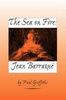 Paul Griffiths: The Sea on Fire: Jean Barraque, Buch