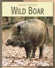 Barbara A. Somervill: Wild Boar, Buch