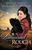 Jennifer AlLee: Diamond in the Rough, Buch