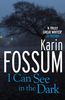 Karin Fossum: I Can See in the Dark, Buch