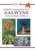 Gideon Smith: Sasol Eerste Veldgids tot Aalwyne van Suider Afrika, eBook