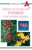 John Manning: Sasol Eerste Veldgids tot Fynbos van Suider-Afrika, eBook