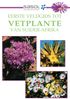 John Manning: Sasol Eerste Veldgids tot Vetplante van Suider Afrika, eBook