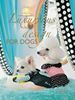 Michelle Galindo: Luxurious Design for Dogs, Buch