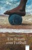 Lieneke Dijkzeul: Ein Traum vom Fußball, Buch