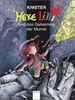 Knister: Hexe Lilli und das Geheimnis der Mumie, Buch