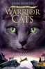 Erin Hunter: Warrior Cats 03. Folge 3 - Die Macht der drei, Verbannt, Buch