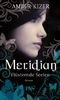 Amber Kizer: Meridian 2 - Flüsternde Seelen, Buch