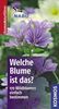 Eva-Maria Dreyer: Welche Blume ist das?, Buch