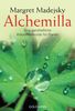 Margret Madejsky: Alchemilla, Buch