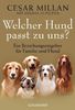 Cesar Millan: Welcher Hund passt zu uns?, Buch