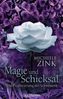 Michelle Zink: Magie und Schicksal, Buch