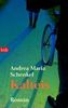 Andrea M. Schenkel: Kalteis, Buch