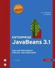 Werner Eberling; Jan Leßner: Enterprise JavaBeans 3.1, Buch