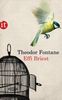 Theodor Fontane: Effi Briest, Buch
