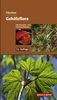 Jost Fitschen: Gehölzflora, Buch