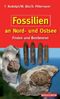 F. Rudolph: Fossilien an Nord- und Ostsee, Buch