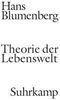 Hans Blumenberg: Theorie der Lebenswelt, Buch