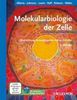 Molekularbiologie der Zelle, m. CD-ROM, Buch