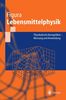 Ludger O. Figura: Lebensmittelphysik, Buch