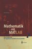 Hans Benker: Mathematik mit MATLAB, Buch