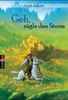 Joan Aiken: Geh, zügle den Sturm, Buch