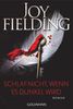 Joy Fielding: Schlaf nicht, wenn es dunkel wird, eBook