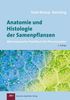Elisabeth Stahl-Biskup: Anatomie und Histologie der Samenpflanzen, Buch