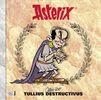 René Goscinny: Asterix-Characterbooks 07. Alles über Tullius Destructivus, Buch