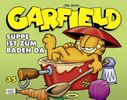 Wolfgang J. Fuchs: Garfield SC 35, Buch