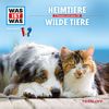 Manfred Baur: Heimtiere/ Wilde Tiere, CD