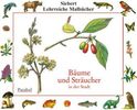 Erwin Eigner: Bäume und Sträucher in der Stadt, Buch