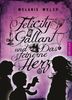 Melanie Welsh: Felicity Gallant und Das steinerne Herz, Buch