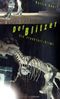 Martin Beer: Der Blitzer, Buch