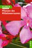 Andreas Bärtels: Pflanzen des Mittelmeerraumes, Buch