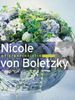 Nicole von Boletzky: Die 6 Jahreszeiten, Buch
