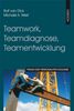 Rolf van Dick: Teamwork, Teamdiagnose, Teamentwicklung, Buch