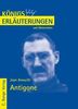 Frauke Frausing: Antigone. Erläuterungen und Materialien, Buch