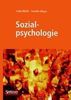 Lioba Werth: Sozialpsychologie, Buch