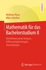 Matthias Plaue: Mathematik für das Bachelorstudium 2, Buch