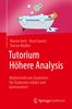 Florian Modler: Tutorium Höhere Analysis, Buch